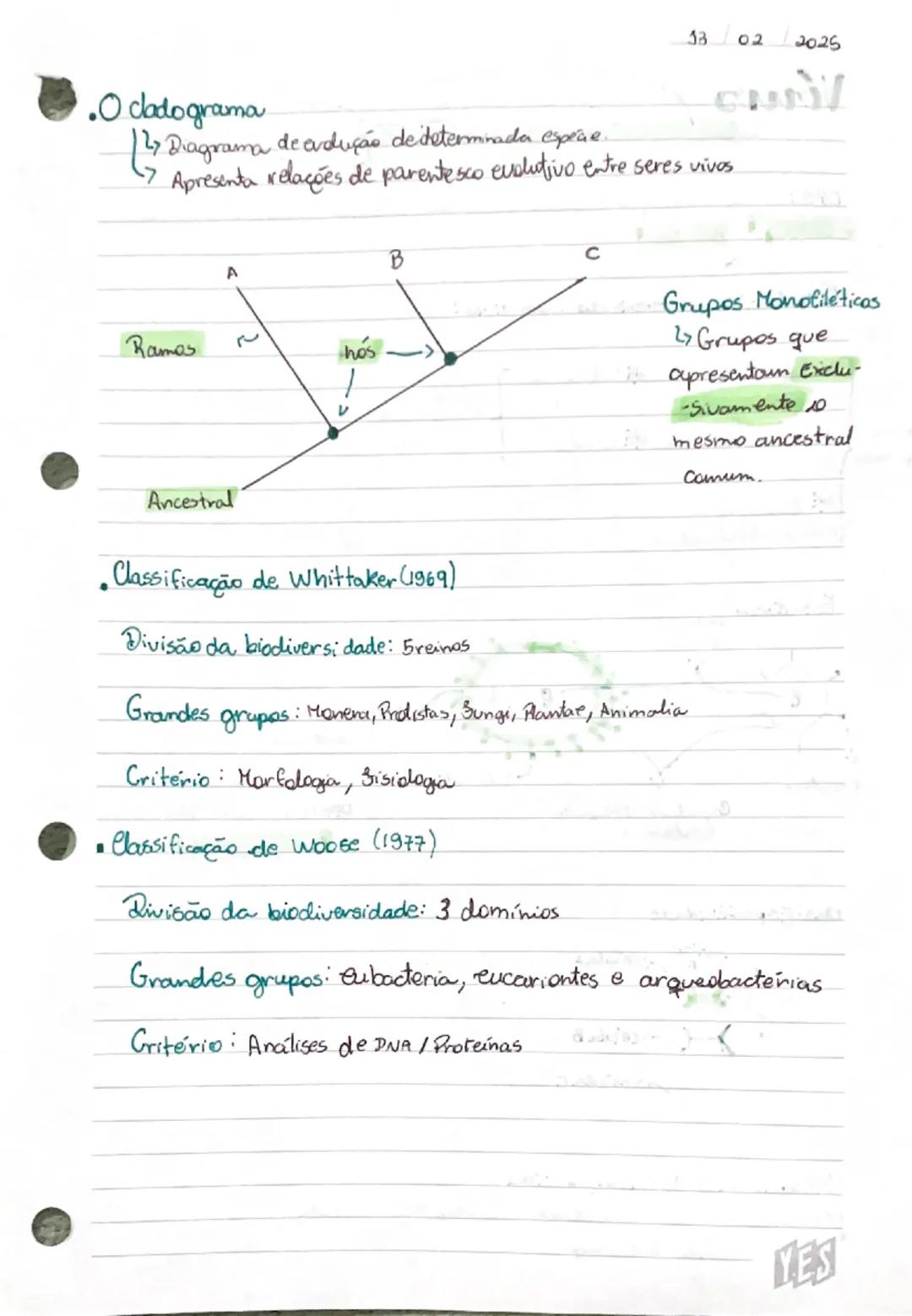 06
02
2025
Sistema de Classificação dos seres vivos
Bidogia
• Sistemas de Classificação Biológicos utilizam critérios específicos para organ