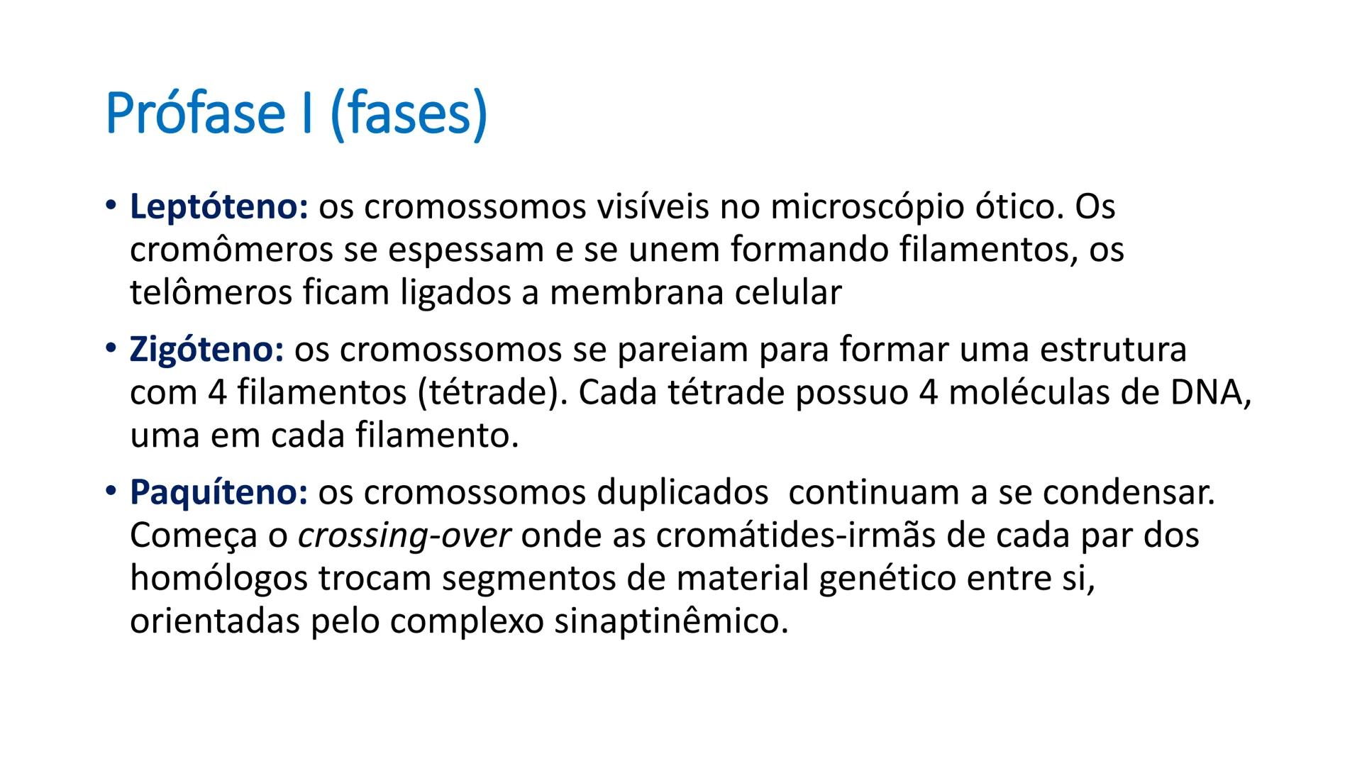 # UGB CENTRO UNIVERSITÁRIO GERALDO DI BIASE
# FERP CURSO DE BIOMEDICINA
# BIOLOGIA CELULAR
# E HISTOLOGIA
# CICLO E DIVISÃO CELULAR
# Pro
