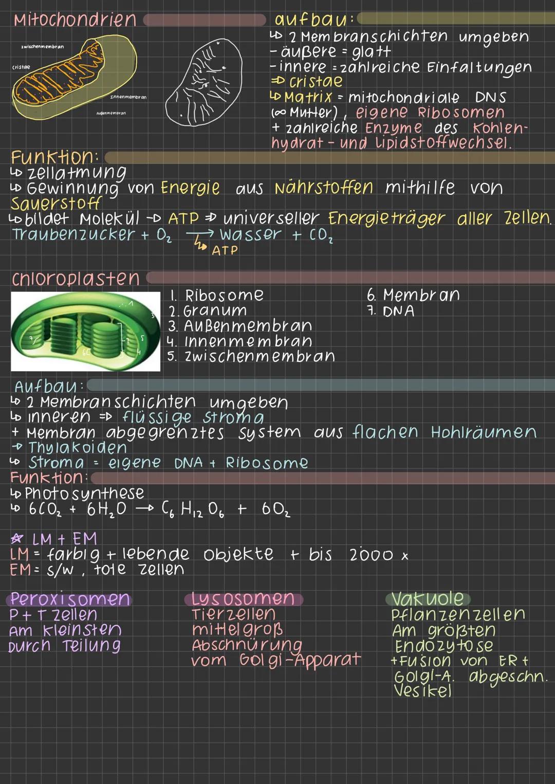 Lichtmikroskopisches
Tierzelle
zellenmembran
zellkern, Nukleus
Zellorganell
zellplasma
Bild der Zelle
Pflanzenzelle
•S
Zellmembran:
Lo Grenz
