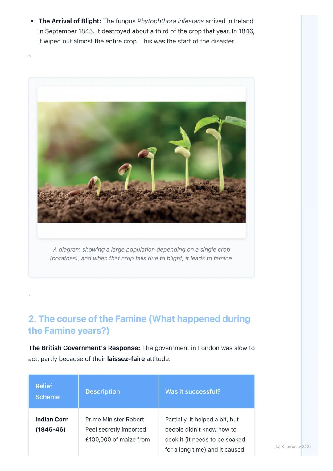 # The Great Famine (An Gorta
Mór)
## Introduction to the Great Famine
The Great Famine, or An Gorta Mór (The Great Hunger), was a period o