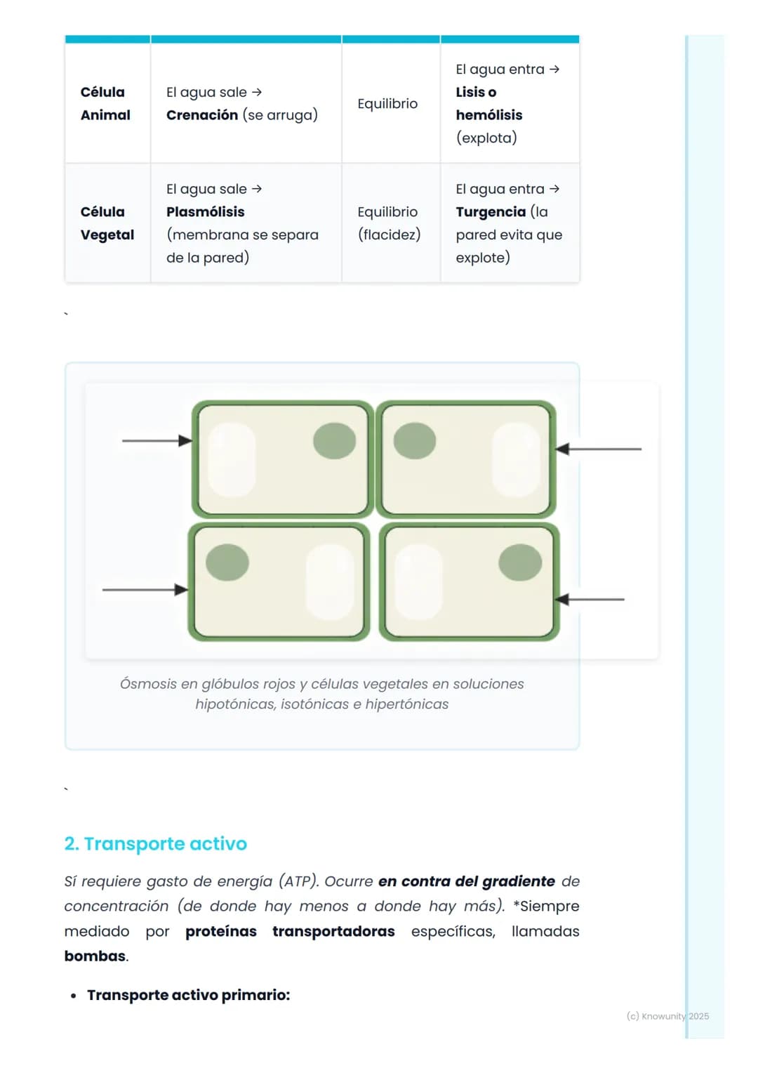 # Membrana Plasmática y
Transporte Celular
La membrana plasmática: la frontera celular
La membrana plasmática es la estructura que delimit