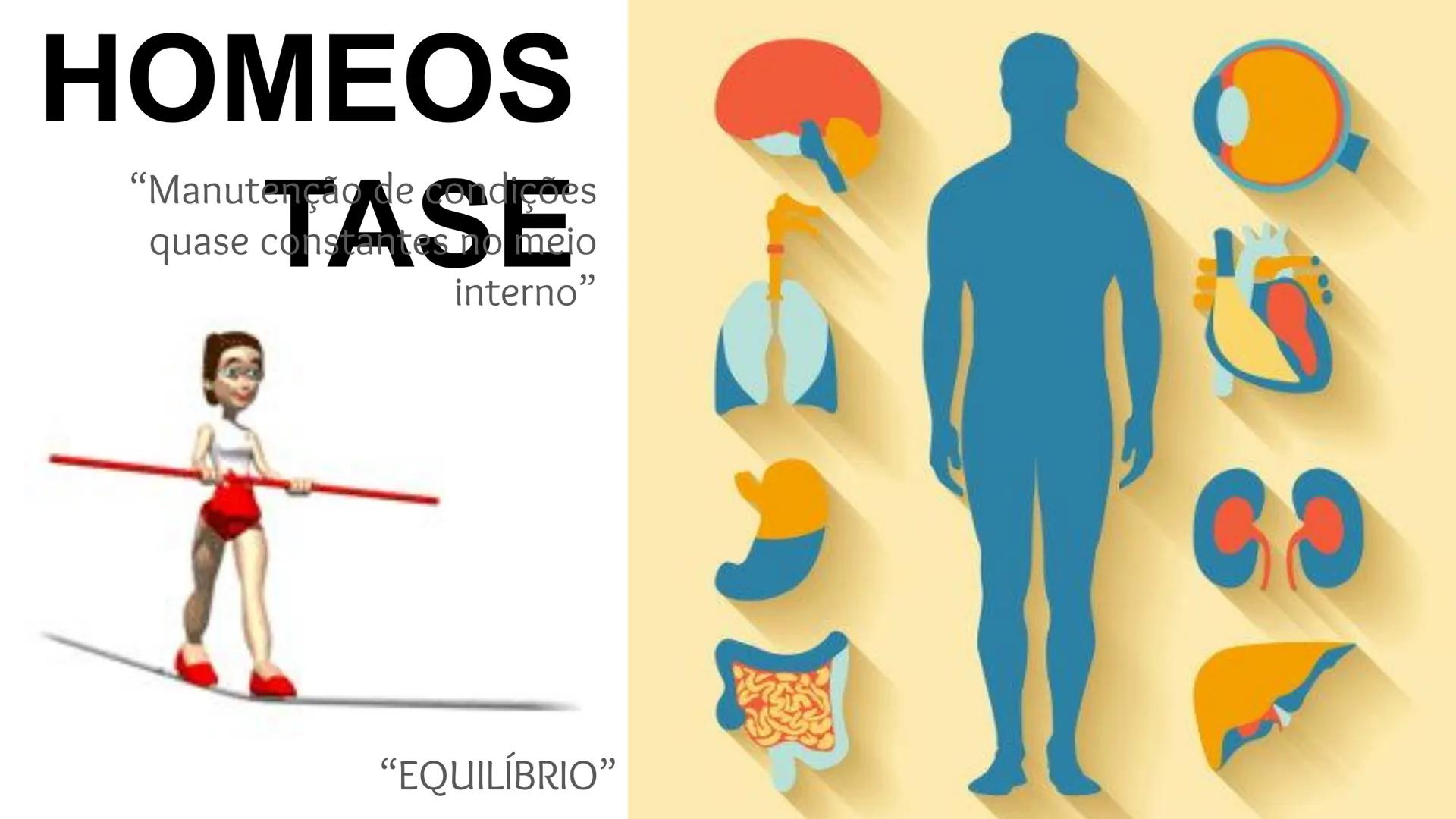 # Organização Funcional
do Corpo Humano
A Célula...
Síntese de Proteínas...
Funcionamento Celular...
Reprodução Celular... # Fisiologia hum