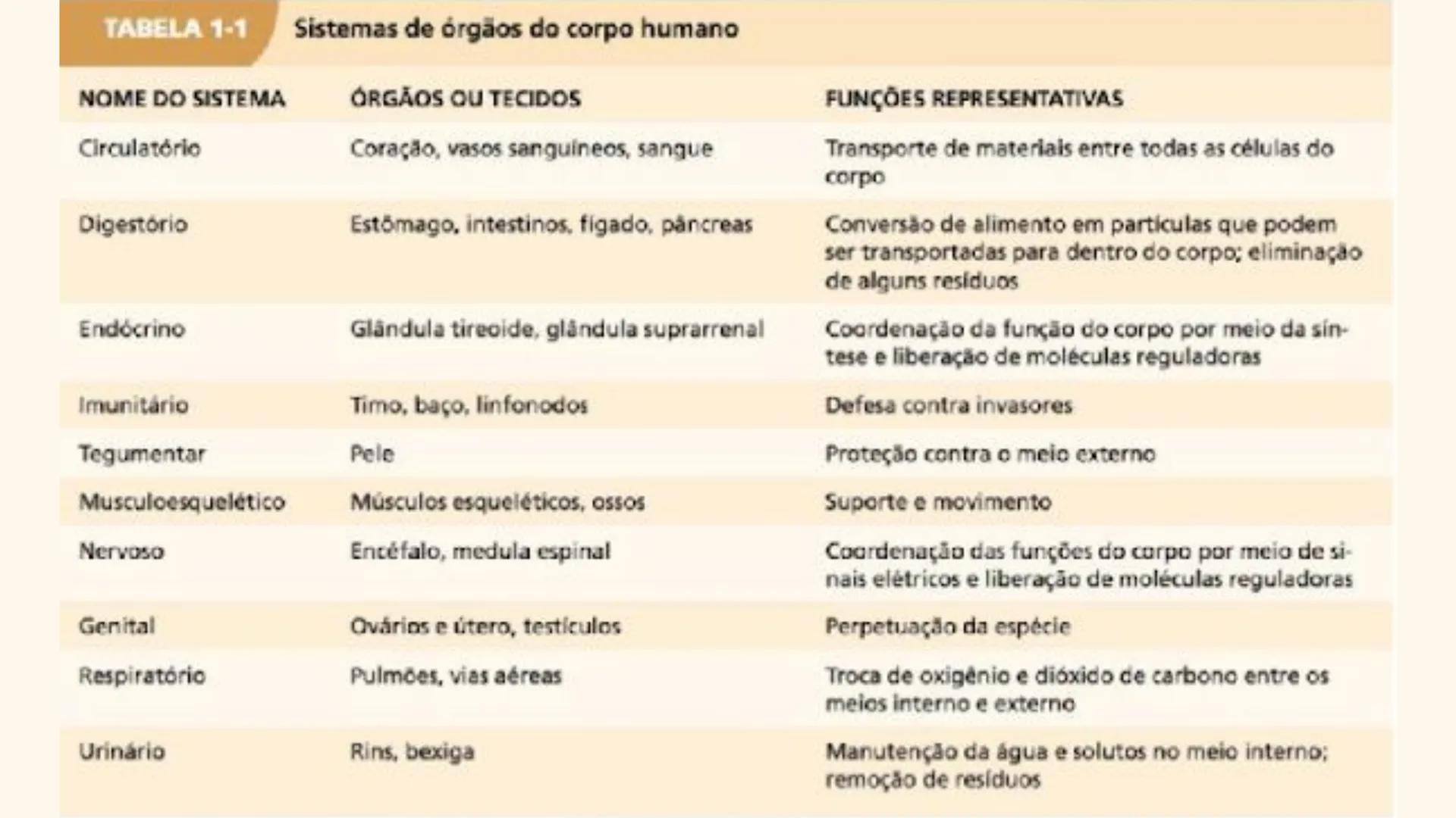 # Organização Funcional
do Corpo Humano
A Célula...
Síntese de Proteínas...
Funcionamento Celular...
Reprodução Celular... # Fisiologia hum