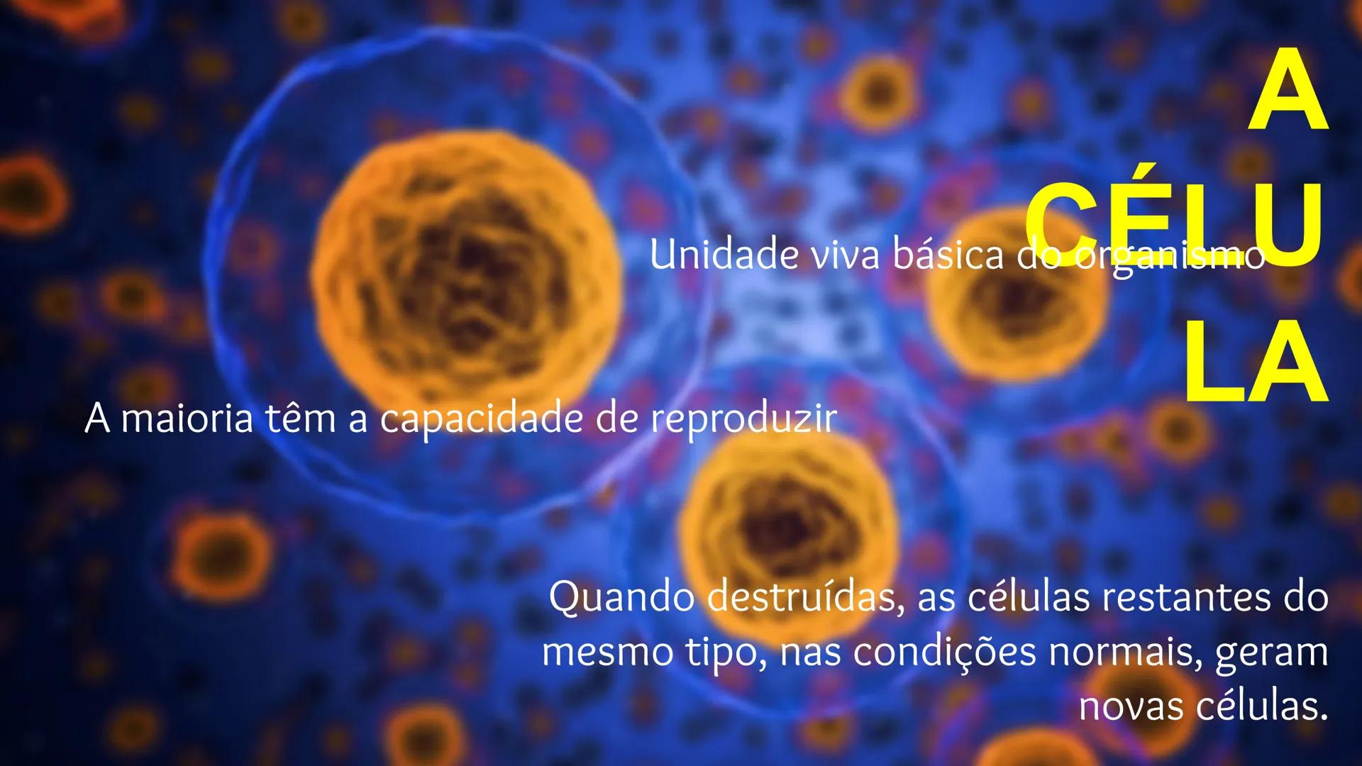 # Organização Funcional
do Corpo Humano
A Célula...
Síntese de Proteínas...
Funcionamento Celular...
Reprodução Celular... # Fisiologia hum