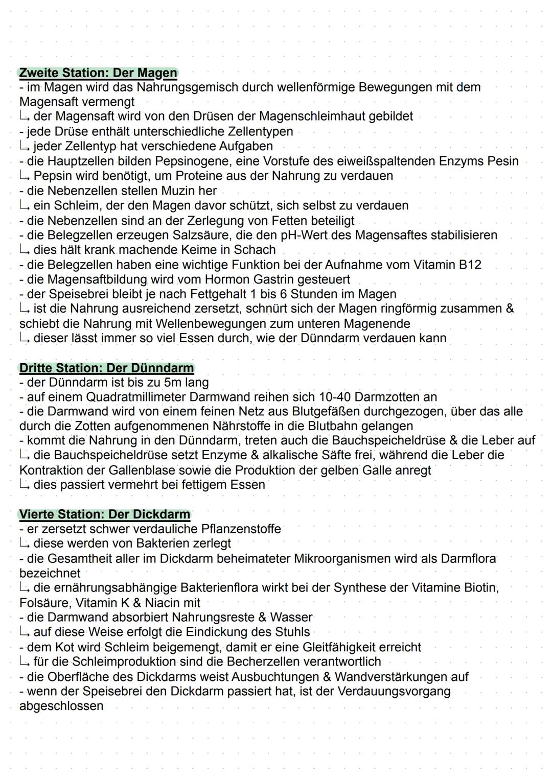 # Verdauung
Definition:
- das Verdauungssystem (Gastrointestinaltrakt) ermöglicht die Versorgung des Körpers mit
Energie & Nährstoffen
- di