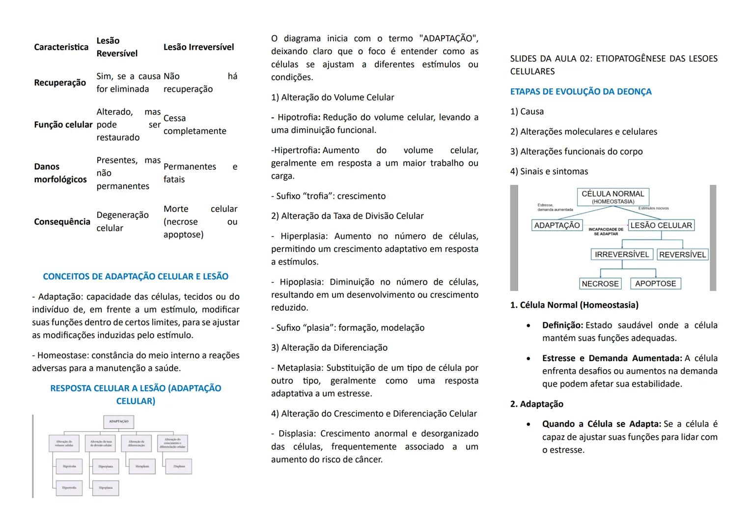 --- OCR Start ---
PATOLOGIA
SLIDES DA AULA 01: INTRODUÇÃO A PATOLOGIA
TERMOS IMPORTANTES NA PATOLOGIA
- ETIOLOGIA: origem da enfermidade
- P