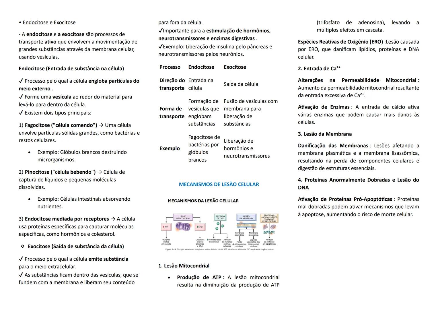 --- OCR Start ---
PATOLOGIA
SLIDES DA AULA 01: INTRODUÇÃO A PATOLOGIA
TERMOS IMPORTANTES NA PATOLOGIA
- ETIOLOGIA: origem da enfermidade
- P