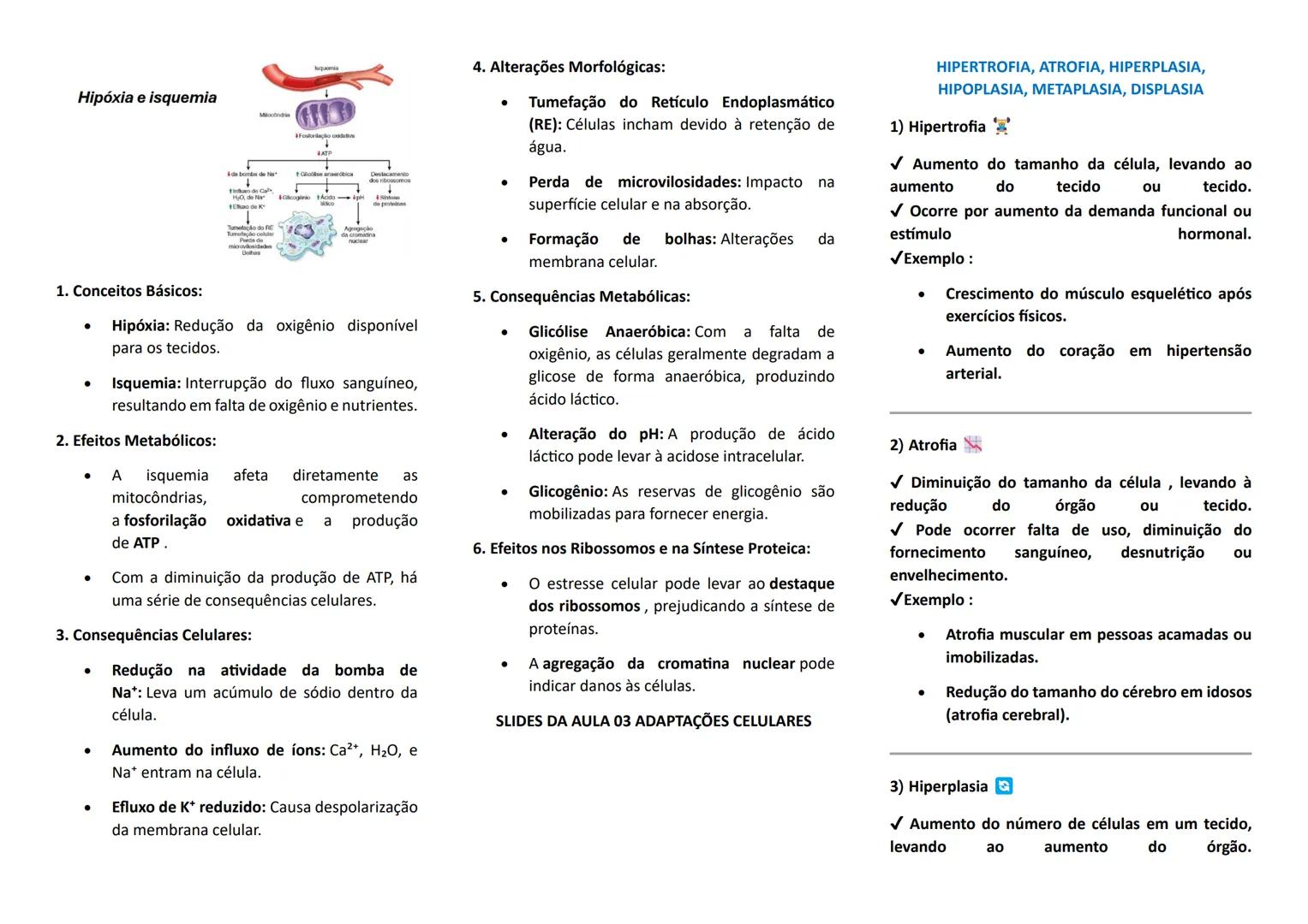 --- OCR Start ---
PATOLOGIA
SLIDES DA AULA 01: INTRODUÇÃO A PATOLOGIA
TERMOS IMPORTANTES NA PATOLOGIA
- ETIOLOGIA: origem da enfermidade
- P