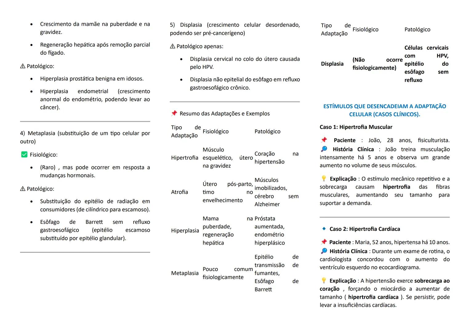 --- OCR Start ---
PATOLOGIA
SLIDES DA AULA 01: INTRODUÇÃO A PATOLOGIA
TERMOS IMPORTANTES NA PATOLOGIA
- ETIOLOGIA: origem da enfermidade
- P