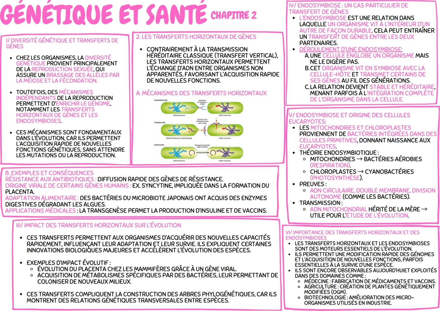 # GÉNÉTIQUE ET SANTÉ
IV/MÉIOSE ET BRASSAGE GÉNÉTIQUE:
* LA MÉIOSE COMPREND DEUX DIVISIONS SUCCESSIVES:
* DIVISION RÉDUCTRICE : SÉPARAT