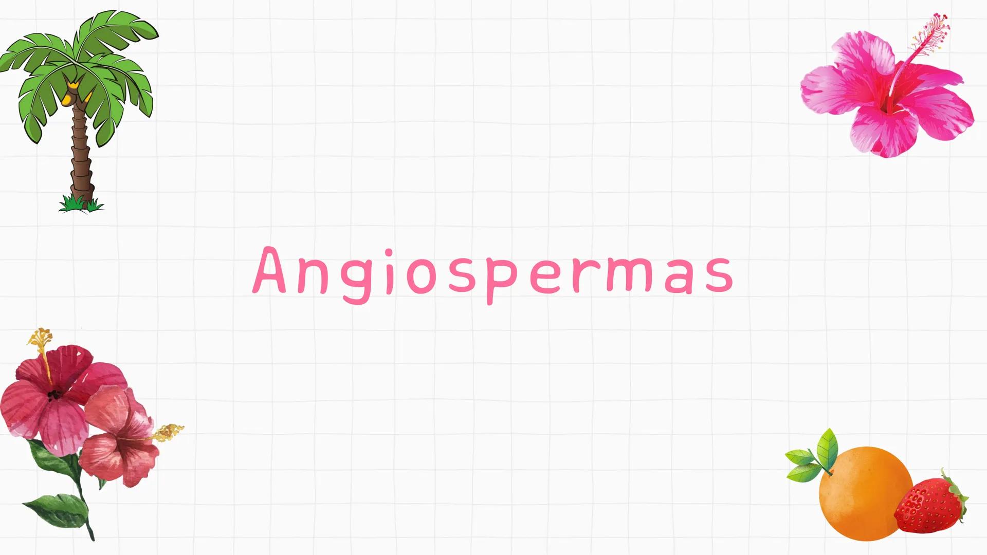 --- OCR Start ---
GIO DA POLICIA MILITAR
CEL PM HERVANO MACEDO
JUNIOR
DO CEARA
HONRA EDUCAÇÃo
2º CPM - CHMJ
DISCIPLINA: BIOLOGIA
GIMNOSPERMA