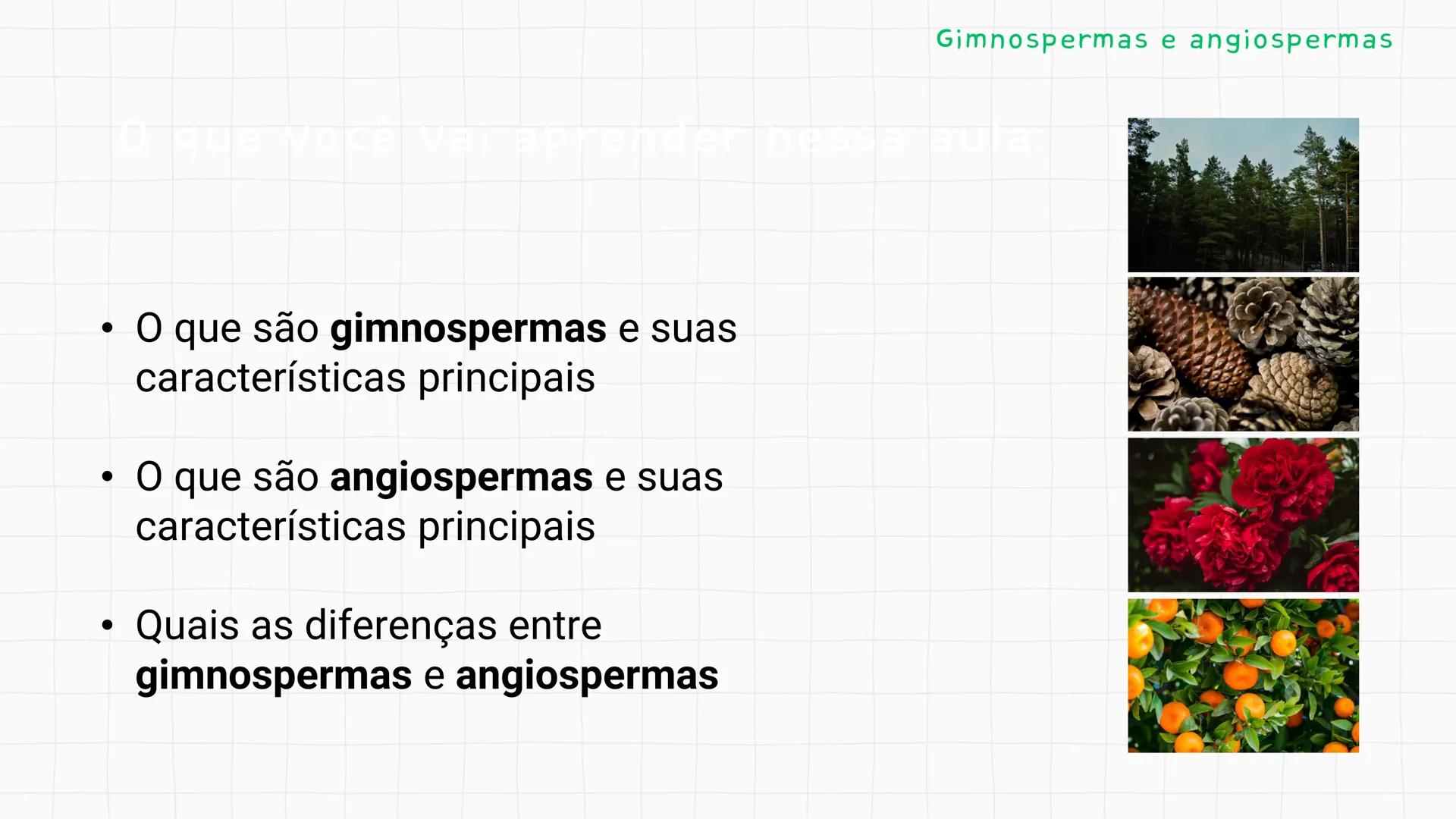 --- OCR Start ---
GIO DA POLICIA MILITAR
CEL PM HERVANO MACEDO
JUNIOR
DO CEARA
HONRA EDUCAÇÃo
2º CPM - CHMJ
DISCIPLINA: BIOLOGIA
GIMNOSPERMA