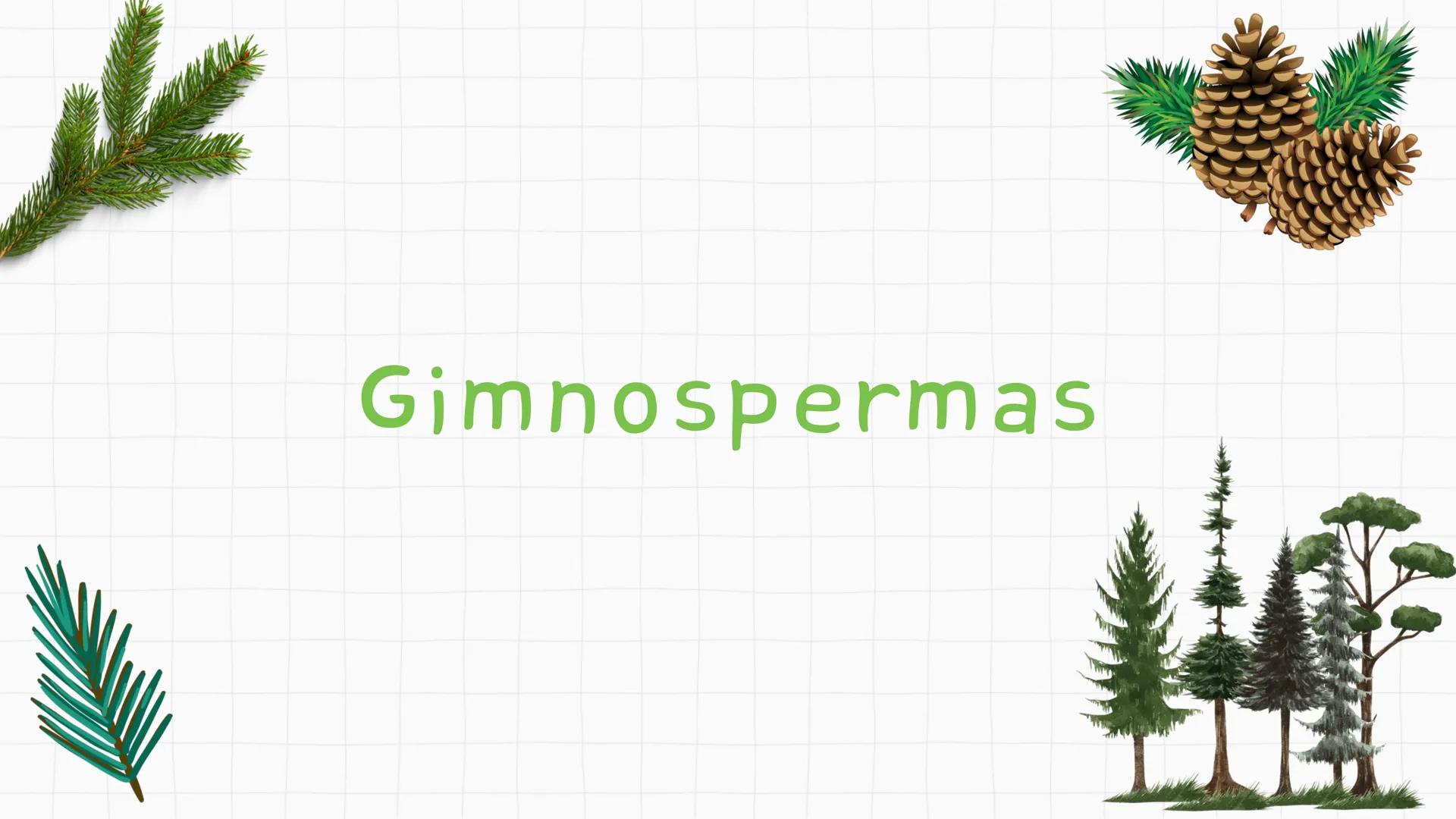 --- OCR Start ---
GIO DA POLICIA MILITAR
CEL PM HERVANO MACEDO
JUNIOR
DO CEARA
HONRA EDUCAÇÃo
2º CPM - CHMJ
DISCIPLINA: BIOLOGIA
GIMNOSPERMA