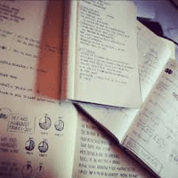 user profile picture